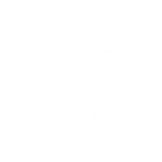 TikTok Logo